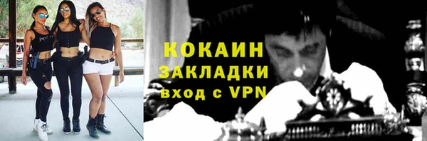 a pvp Дмитриев