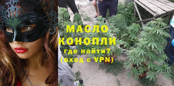 крисы Гусь-Хрустальный