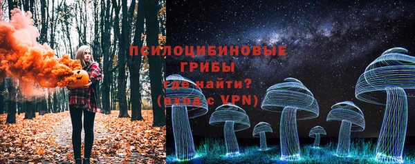 крисы Гусь-Хрустальный